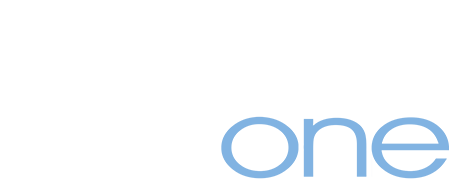 New York State Regional Information Centers